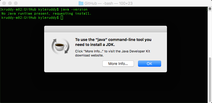 Example: java version output