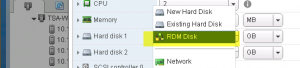 Add RDM Disks