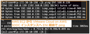 SDDC の仮想マシンと AWS EC2 インスタンス間の ping による通信の確認