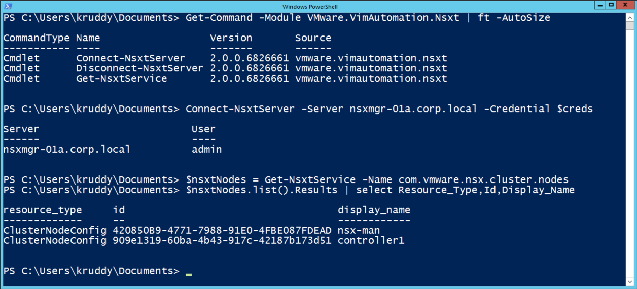 NSX-T Module Example Usage