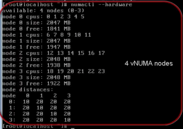 VMTest1NUMA