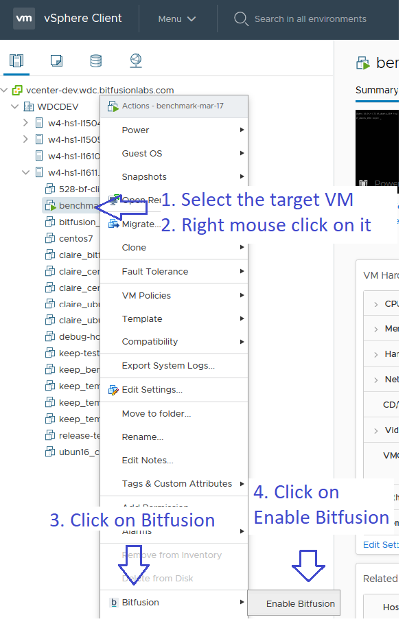 Image showing how to enable a Bitfusion client