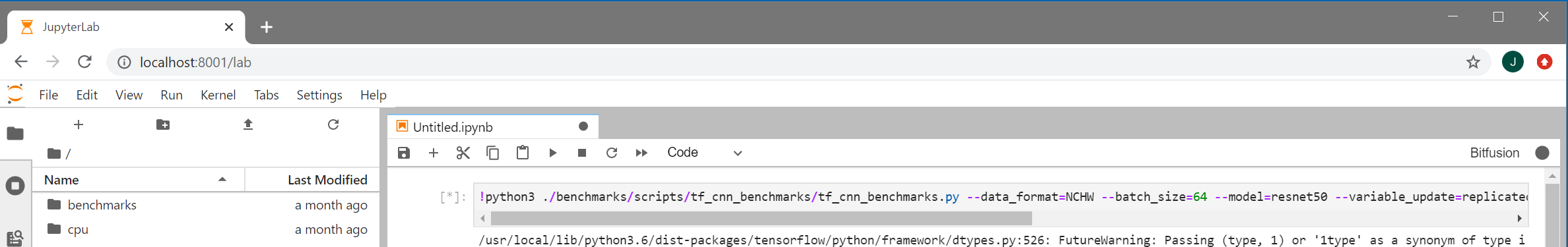 Bitfusion notebook run TensorFlow Benchmark