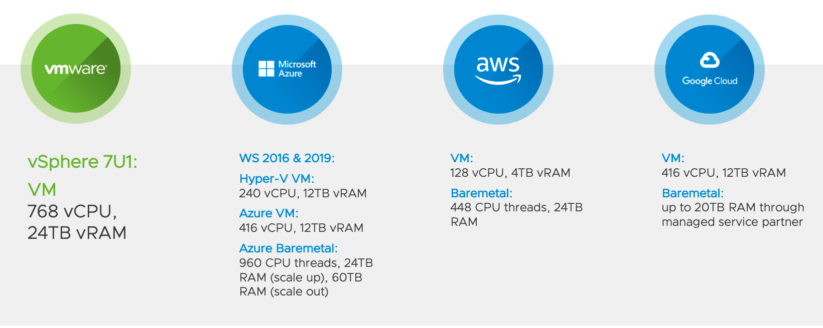 Monster VM