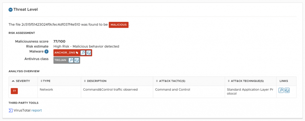 Analysis Overview of an Anchor DNS Sample