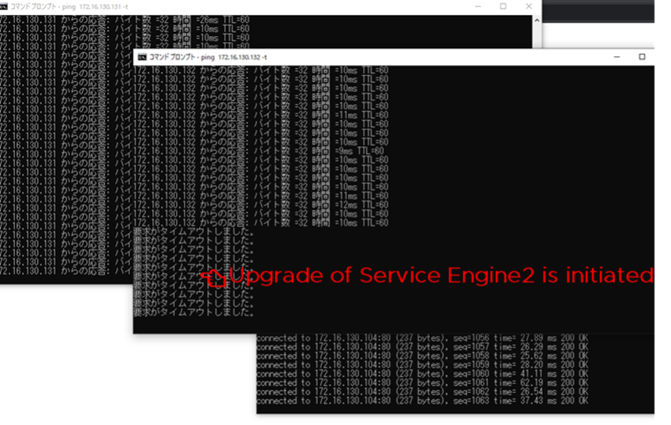 Check Status During Load Balancer Upgrade