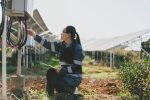 Asian female engineer working with laptop at solar power station during sunset