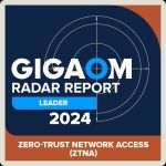 b3c0edc9-gigaom-badge-2024v2_leader-01 300