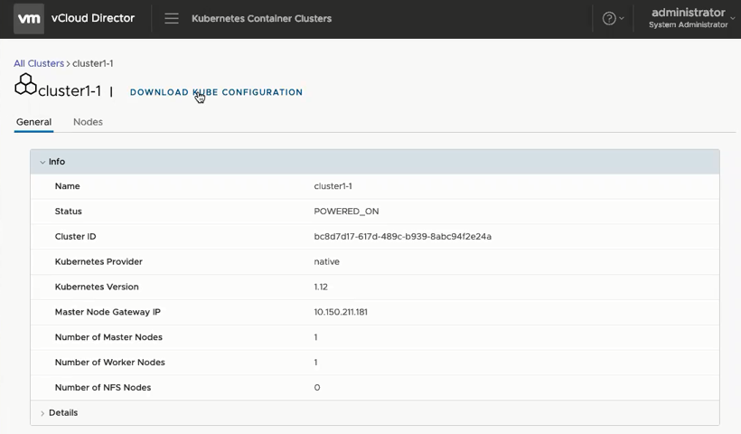 CSE UI - Cluster Detail View