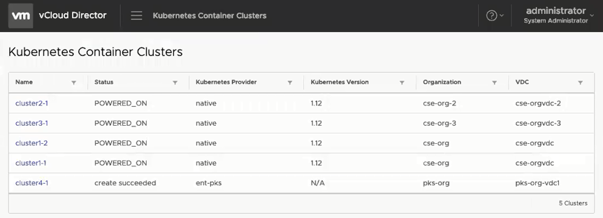 CSE UI - Provider View